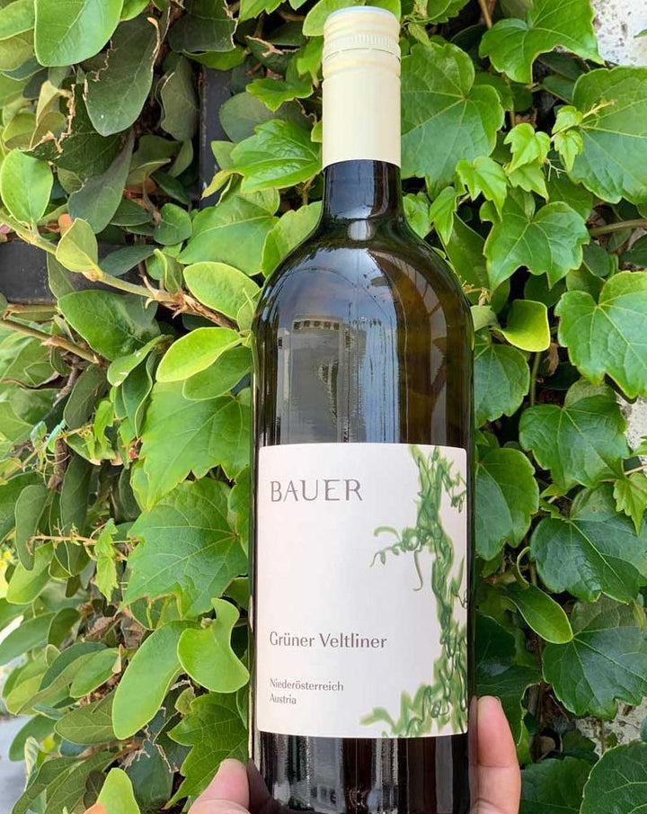 100% Grüner Veltliner Wagram, Austria.  Woman winemaker - Eva Maria. All natural. Fresh + friendly with a little spice like a pro salsa dancer. Like laying in cool, fresh, grass under a peach tree. Dried citrus. Peppers + tarragon. 1 liter (bottle + a half).
