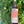 Los Angeles, California. Woman distiller - Morgan McLachlan. Woman winemaker - Amy Atwood. A scrumptious dry vermouth, fantastic with cocktails but also amazing on its own. Herbaceous + citrus. Berries + salt. Lipsmacker.