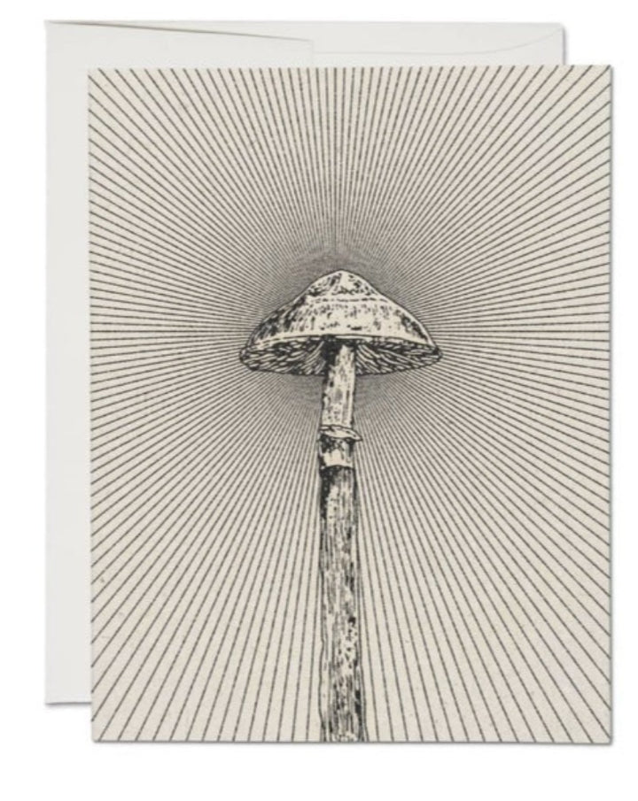 Mushroom greeting card. Blank inside.