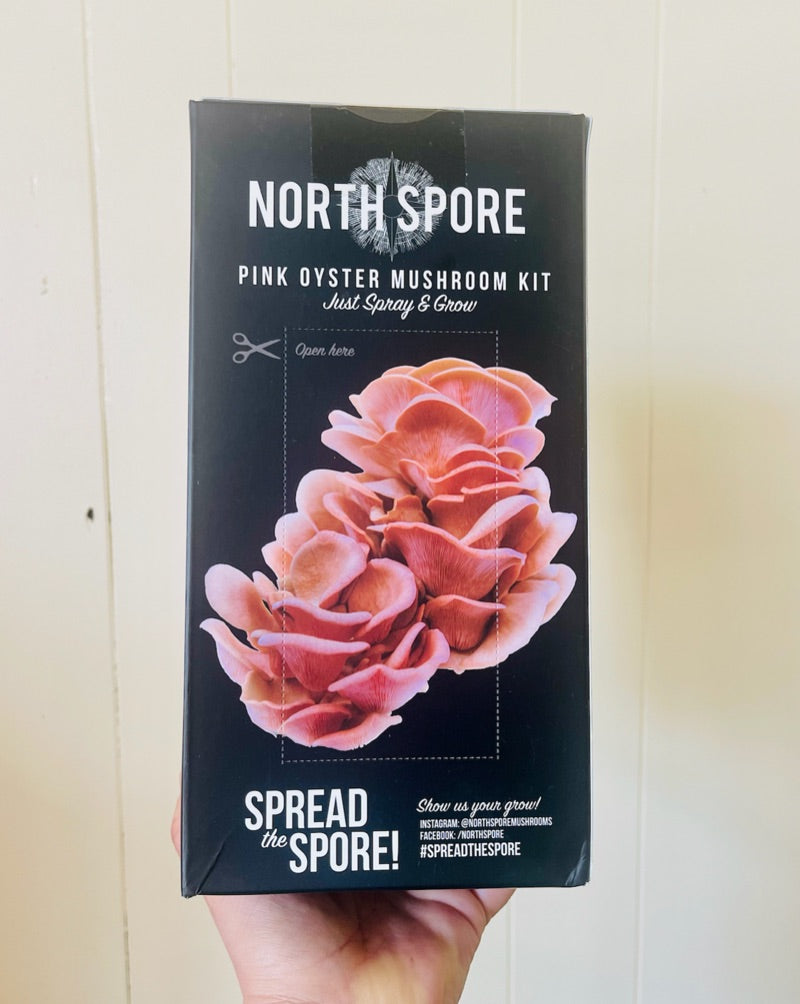 North Spore Mushroom Grow Kit - Pink Oyster